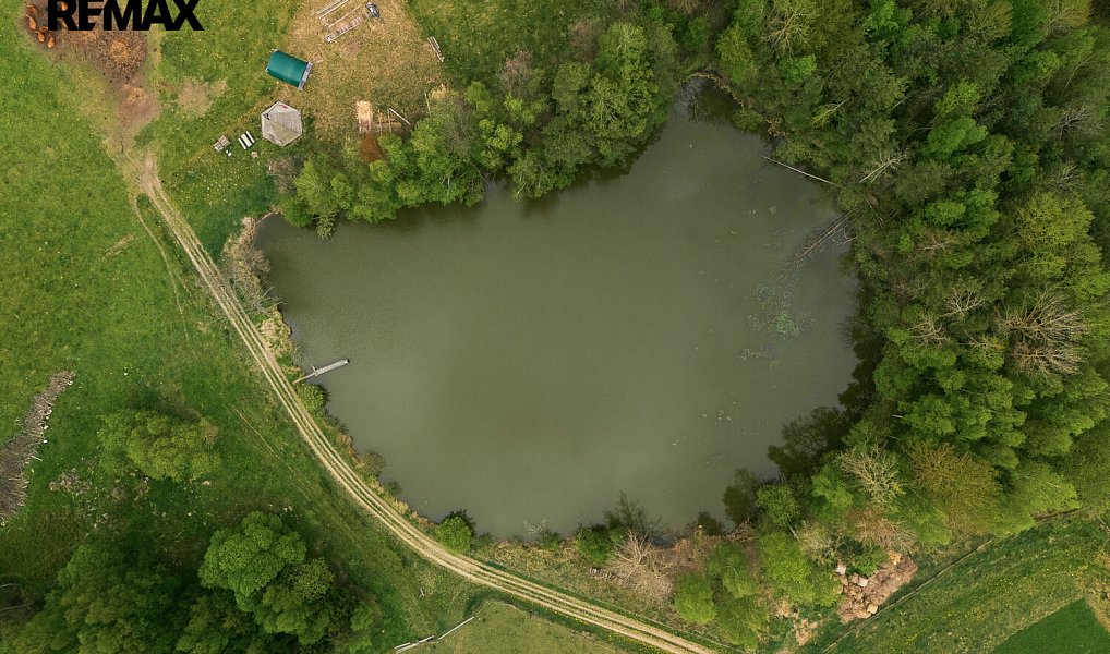 Prodej pozemku 172 102 m², Vyskytná nad Jihlavou – náhled fotky 4