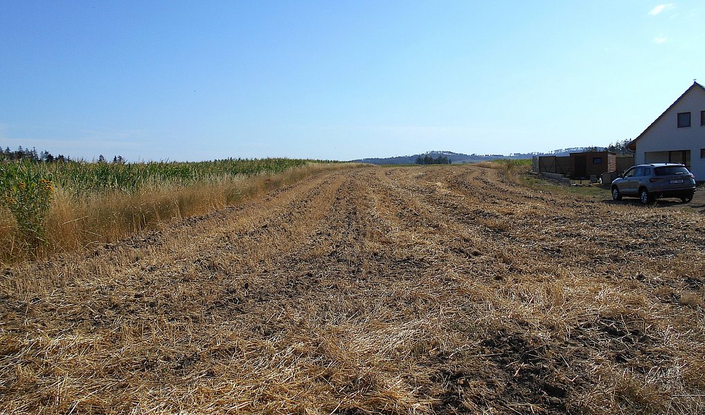 Prodej stavebního pozemku 4 931 m², Březejc – náhled fotky 2