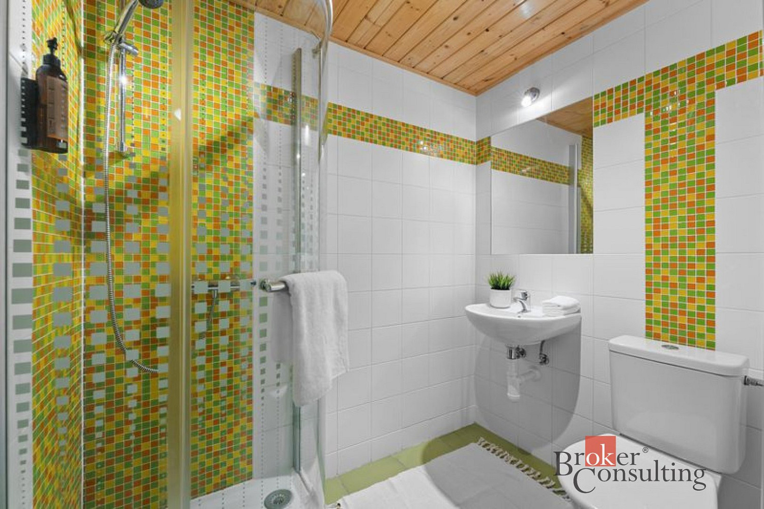 Prodej komerčního objektu (jiného typu) 650 m² — photo 5