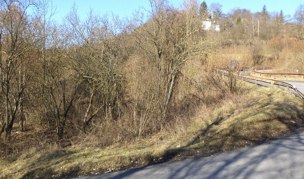 Prodej zahrady 1 700 m², Trmice – náhled fotky 2