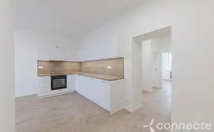 Pronájem bytu 4+kk 63 m²