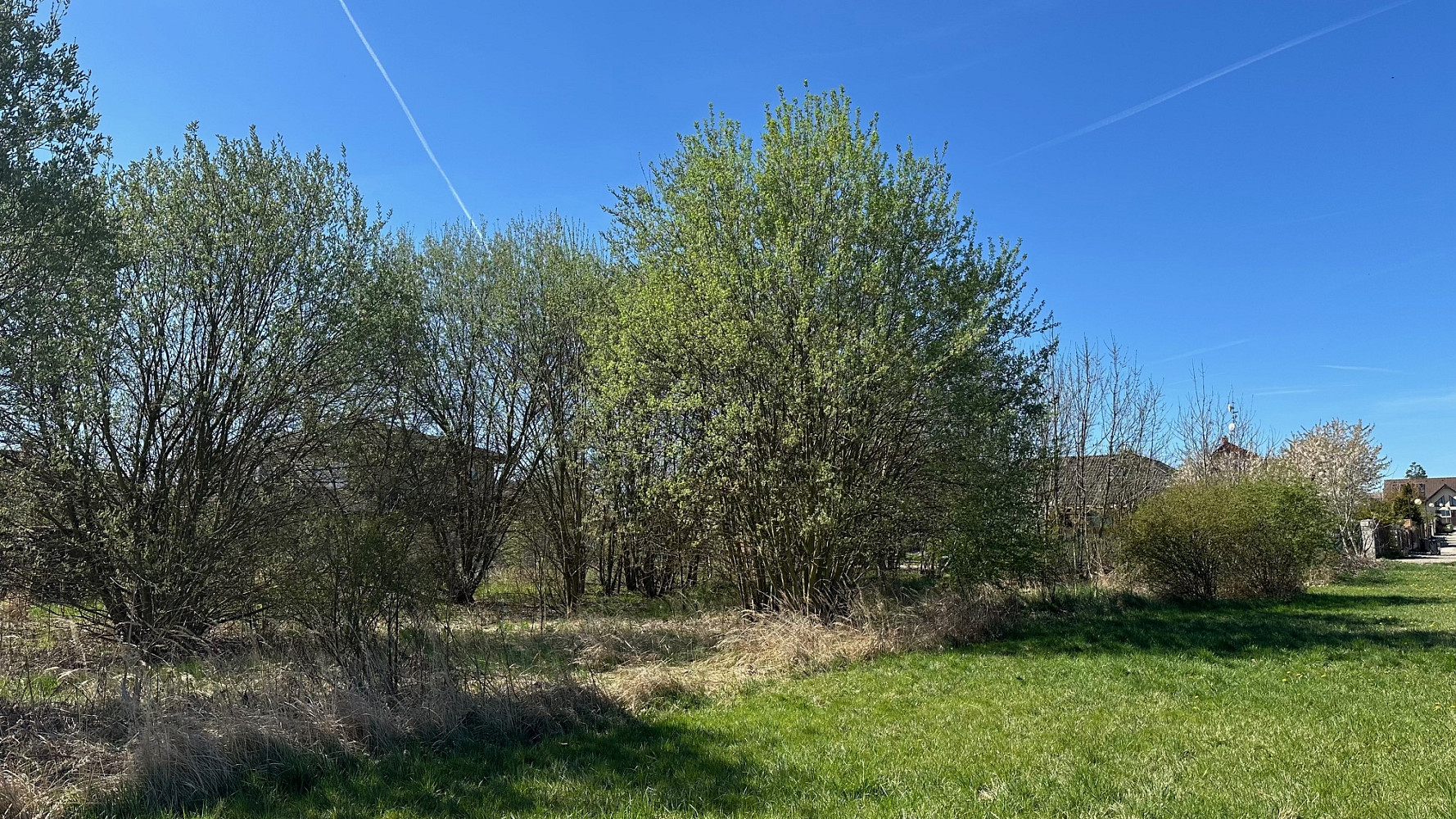 Prodej stavebního pozemku 1 669 m² – fotografie 3