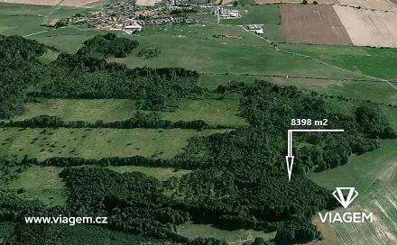 Prodej lesa 8 398 m², Borkovice, okres Tábor