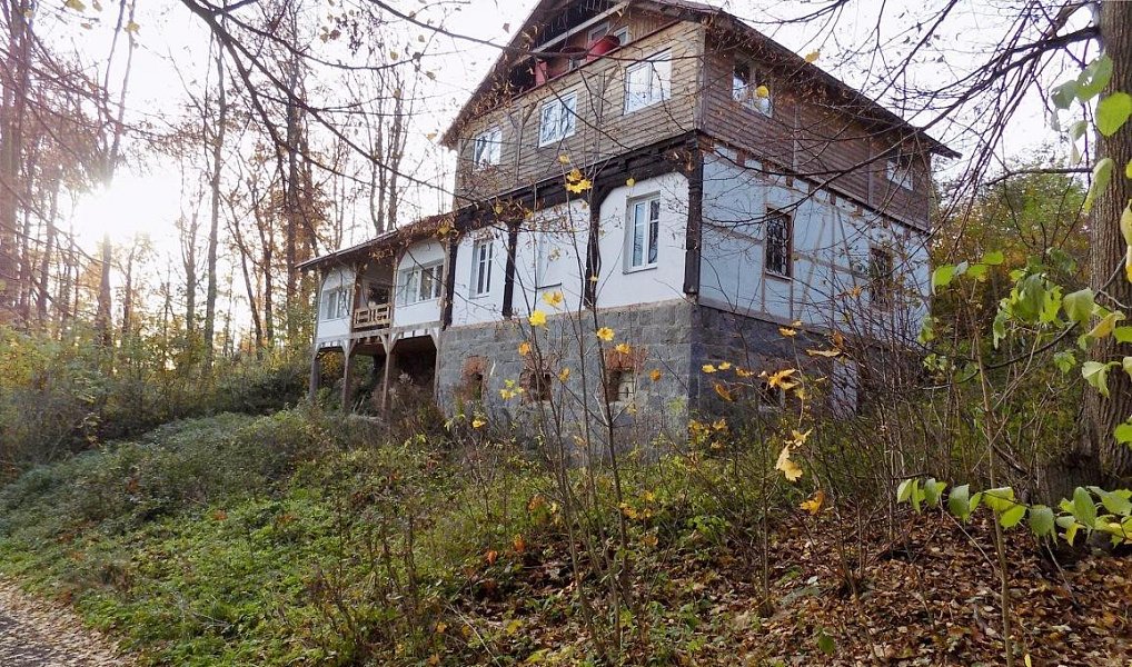 Prodej ubytovacího objektu 325 m², Lobendava – náhled fotky 18