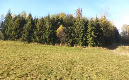 Prodej pozemku 60 778 m², Budišov nad Budišovkou, okres Opava
