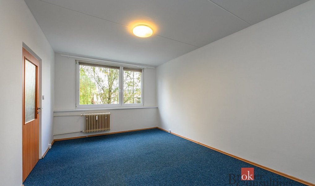 Pronájem bytu 2+1 60 m², Plzeň – náhled fotky 5