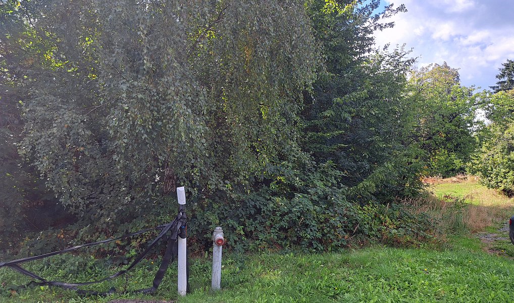 Prodej stavebního pozemku 3 619 m², Nemojov – náhled fotky 3