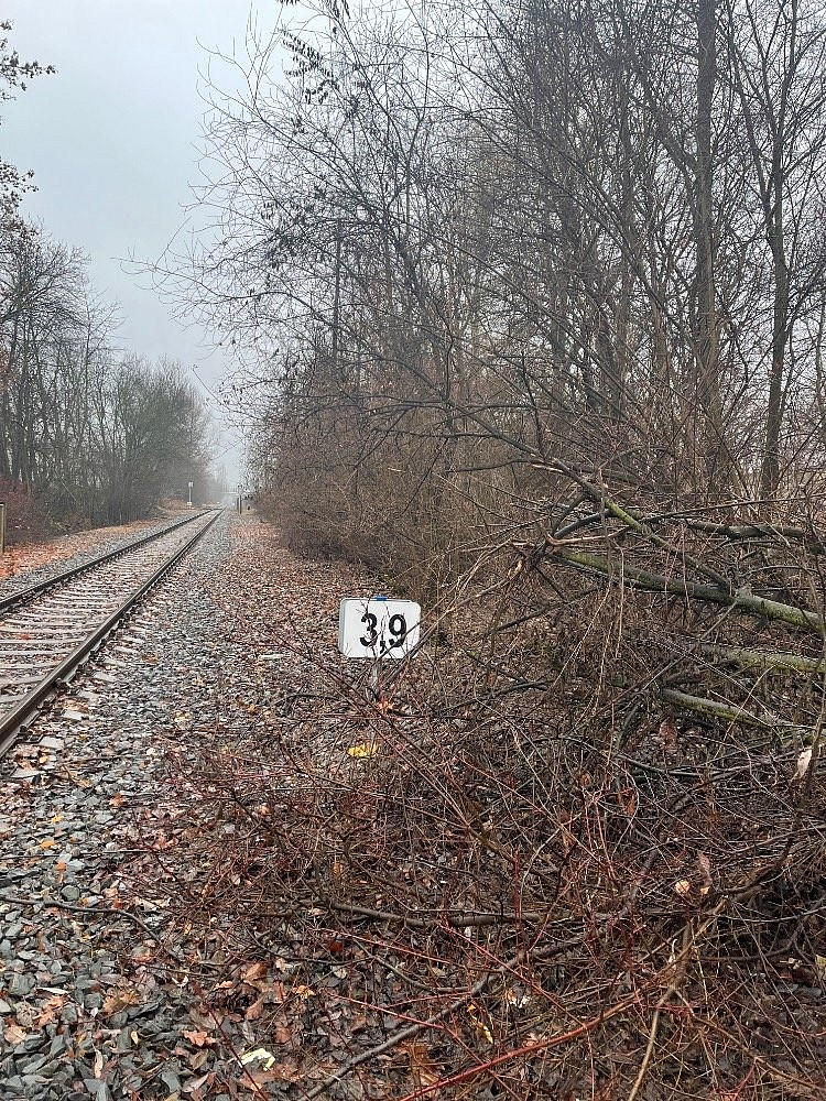 Fotka 10 z 19