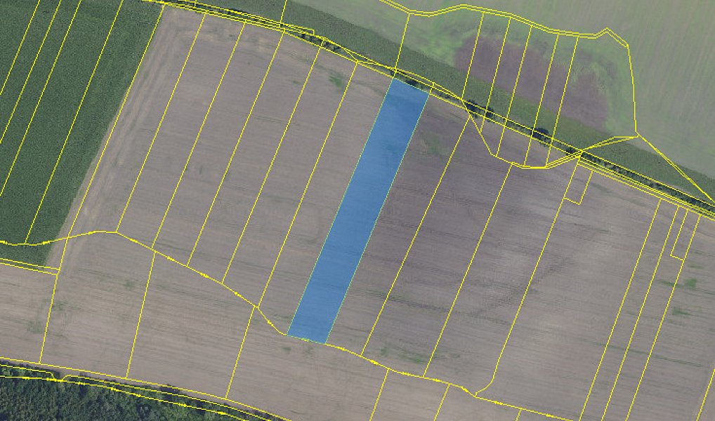 Prodej pole 10 553 m², Křečkov – náhled fotky 4