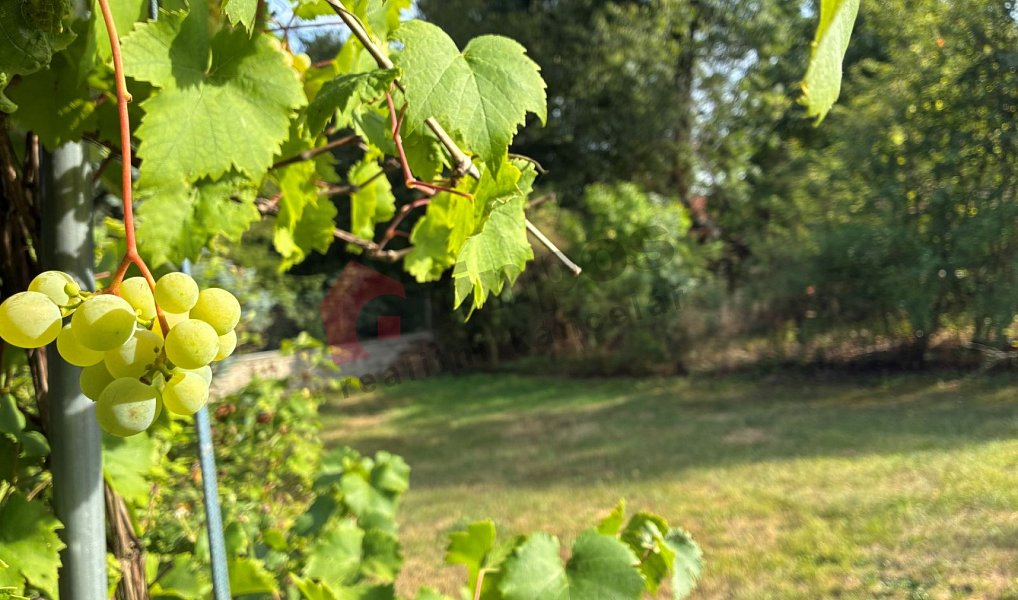 Prodej chaty/chalupy 88 m², Ratměřice – náhled fotky 19