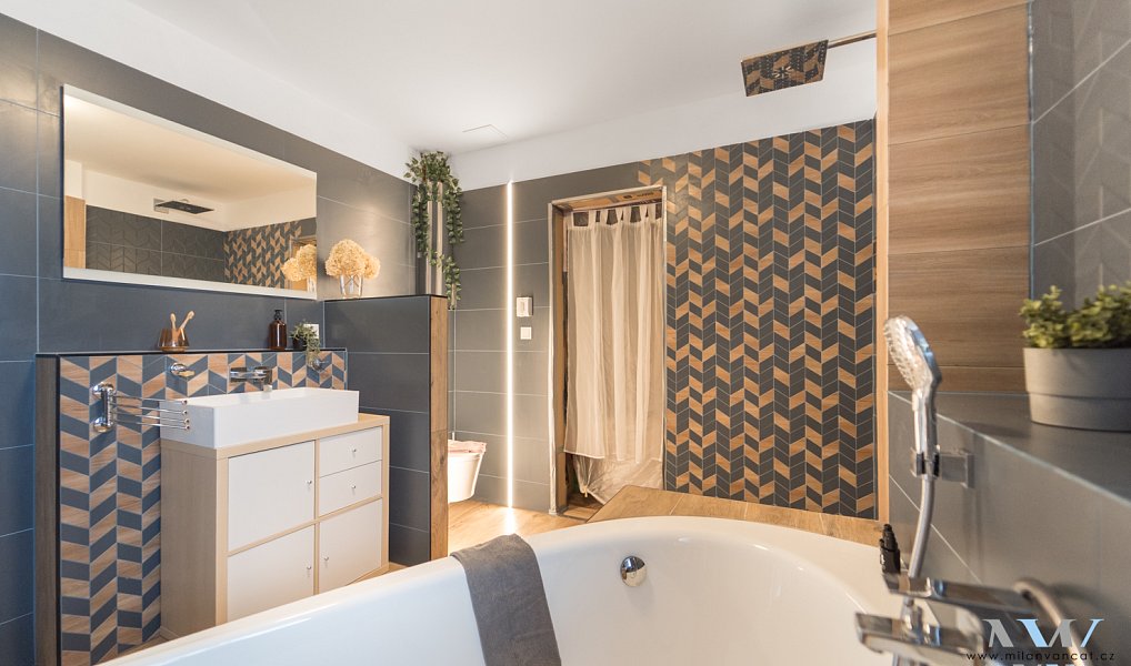 Prodej domu 257 m² s pozemkem 1 805 m², Zalužany – náhled fotky 12