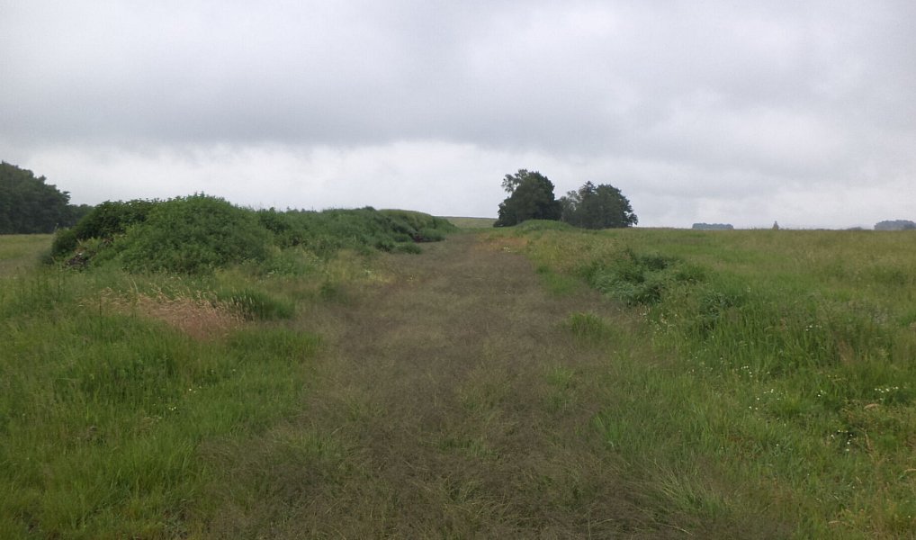 Prodej pole 4 685 m², Jablonné v Podještědí – náhled fotky 2