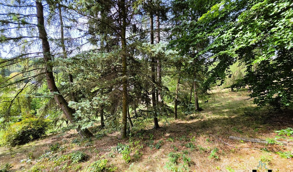 Prodej domu 160 m² s pozemkem 4 400 m², Litvínov – náhled fotky 29