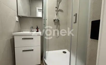 Pronájem bytu 2+1 56 m²