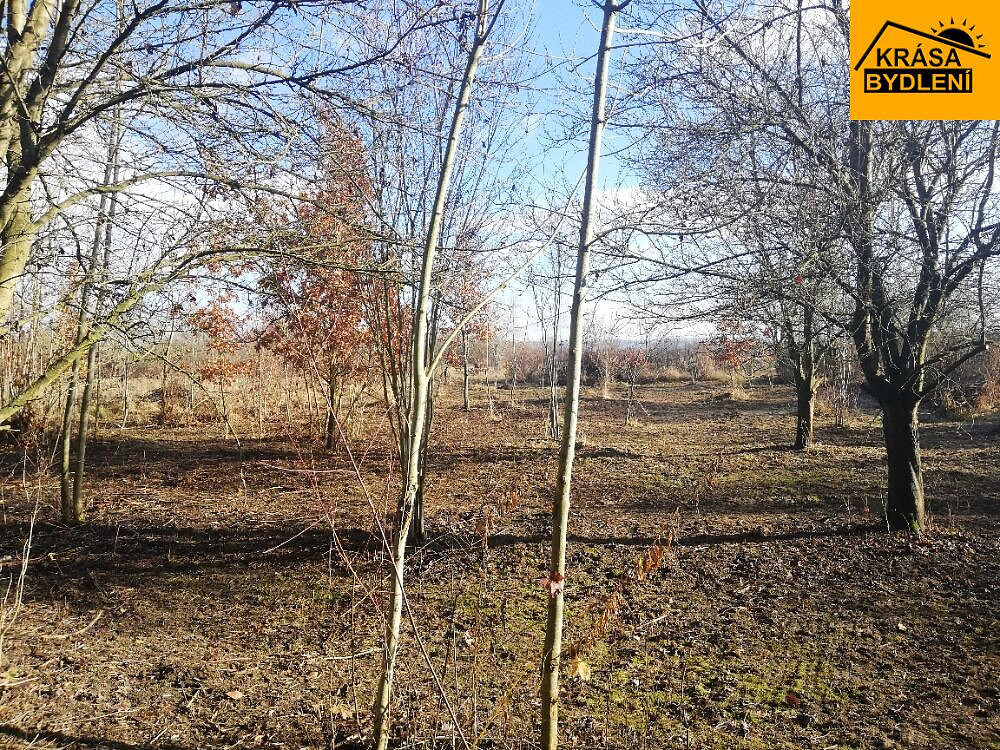 Prodej zahrady 470 m² — photo 2