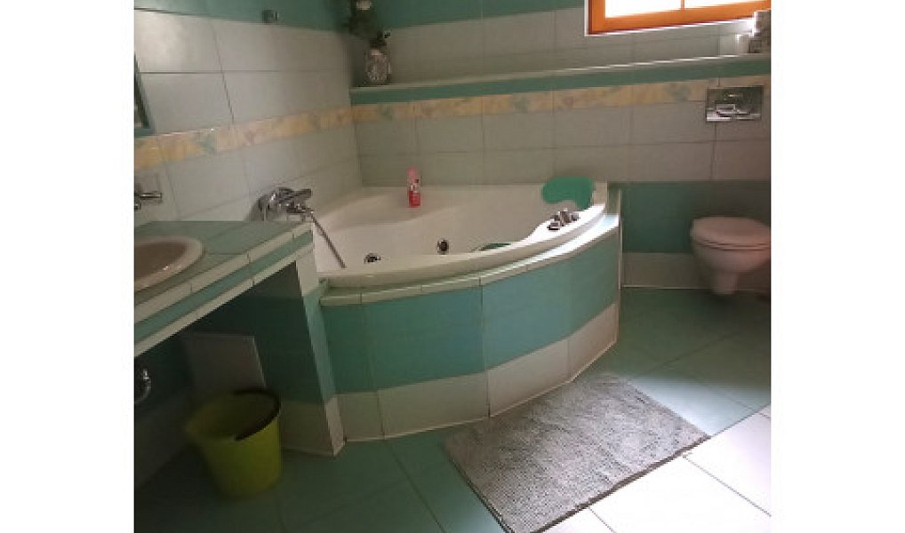 Prodej domu 200 m² s pozemkem 1 183 m², Čisovice – náhled fotky 11