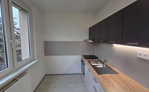 Pronájem bytu 3+1 75 m², Školní pěšina, Chomutov