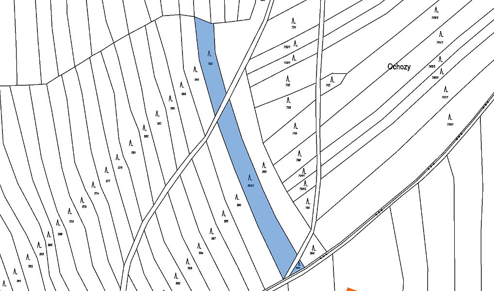 Prodej lesa 4 024 m², Morkůvky – náhled fotky 4