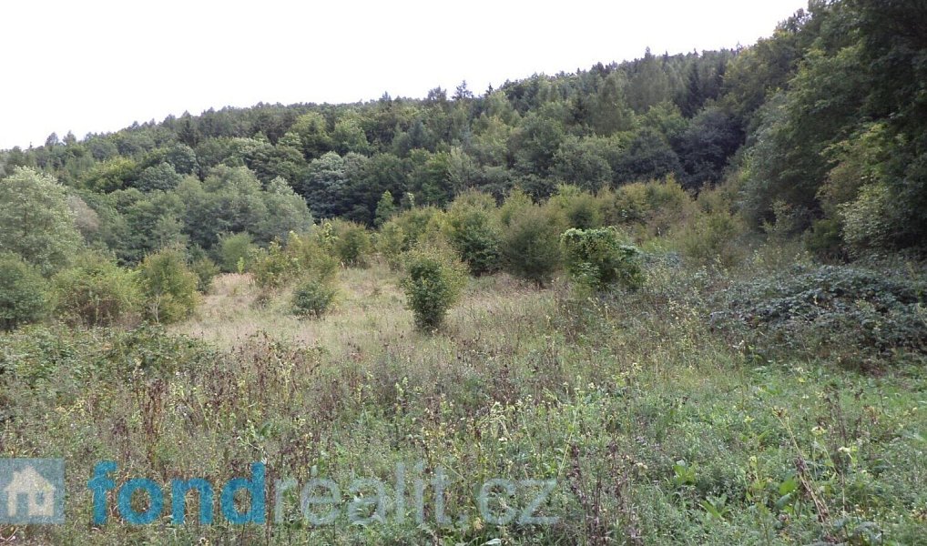 Prodej pozemku 19 641 m², Traplice – náhled fotky 7