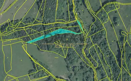 Prodej lesa 9 893 m², Pozlovice, okres Zlín
