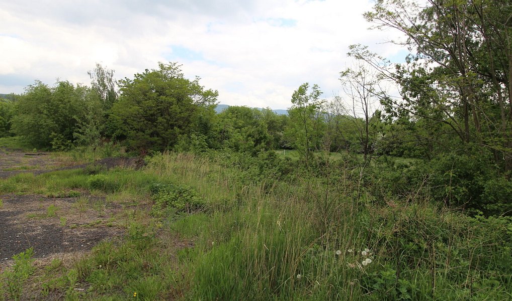 Prodej komerčního pozemku 30 339 m², Dubí – náhled fotky 29