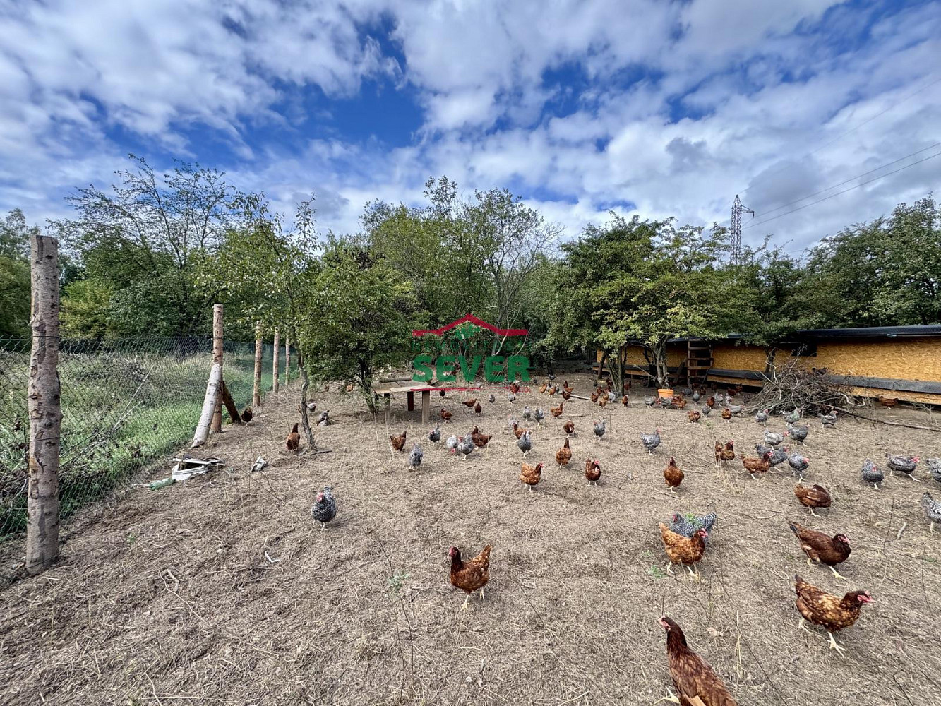 Prodej komerčního pozemku 10 231 m² – fotografie 3