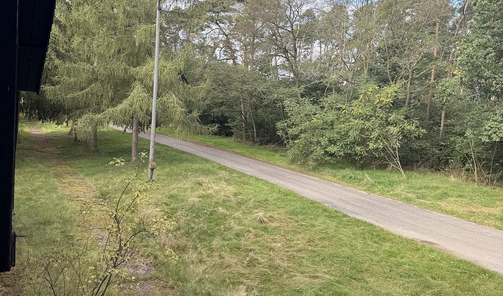 Prodej chaty/chalupy 180 m² s pozemkem 1 287 m², Račice – náhled fotky 19