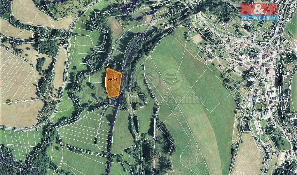 Prodej lesa 9 502 m², Bernartice – náhled fotky 4