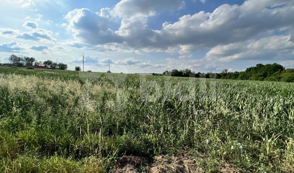 Prodej komerčního pozemku 10 571 m², Rajhrad – náhled fotky 5