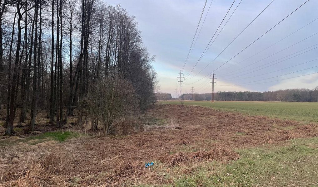 Prodej pozemku 3 460 m², Černá u Bohdanče – náhled fotky 2