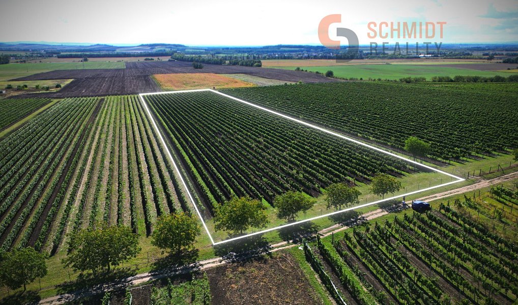Prodej pozemku 15 935 m², Březí – náhled fotky 2