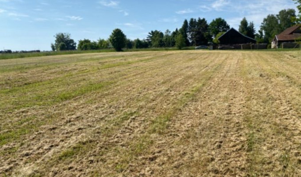 Prodej stavebního pozemku 8 669 m², Zbizuby – náhled fotky 5