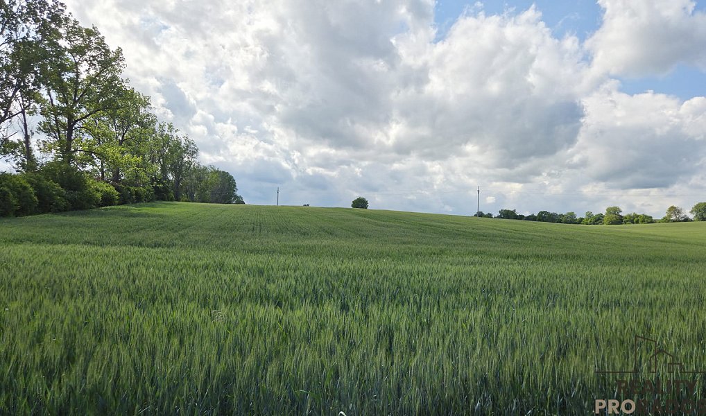 Prodej pole 2 649 m², Kyjov – náhled fotky 4