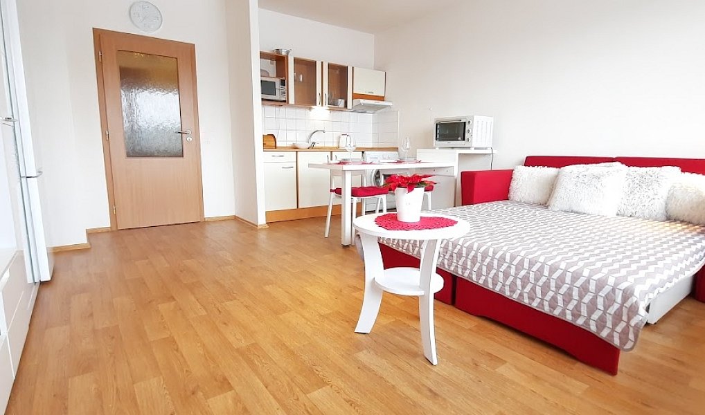 Pronájem bytu 1+kk 38 m², Brno – náhled fotky 9
