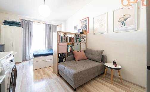 Pronájem bytu 1+kk 30 m², Jaselská, Brno - Veveří