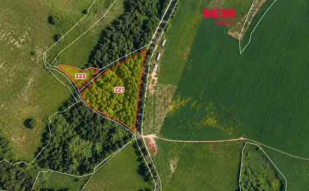 Prodej pozemku 17 561 m², Stará Voda - Vysoká, okres Cheb