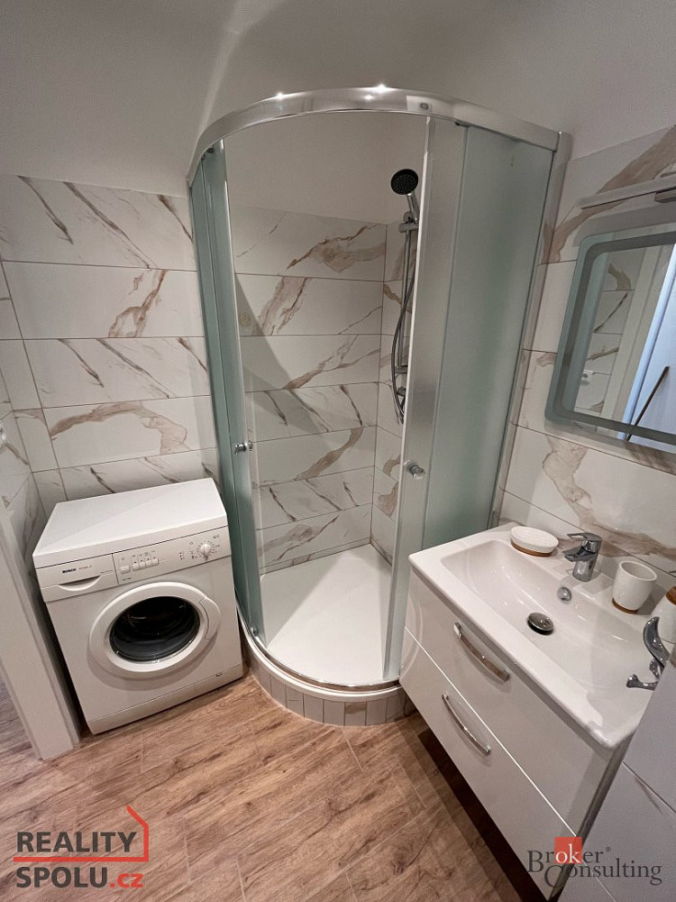 Pronájem bytu 1+1 41 m² – fotografie 3