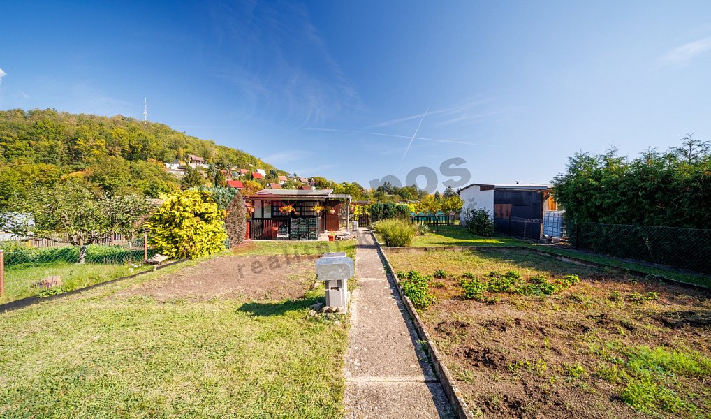 Prodej zahrady 300 m², Bílina – náhled fotky 4