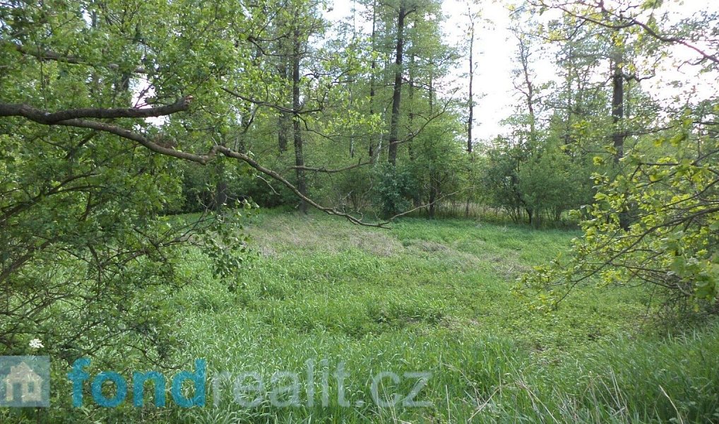 Prodej pozemku 1 844 m², Dětmarovice – náhled fotky 2