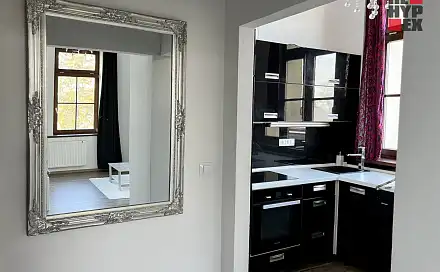 Pronájem bytu 1+1 40 m², Neplachova, Opatovice nad Labem, okres Pardubice