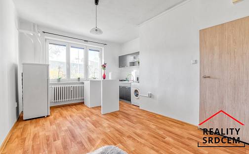 Pronájem bytu 1+kk 21 m², Ve Svahu, Karviná - Ráj