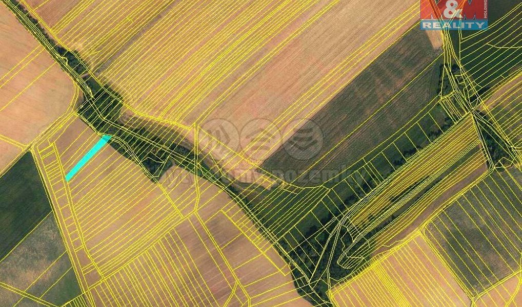 Prodej pole 692 m², Pavlovice u Přerova – náhled fotky 3