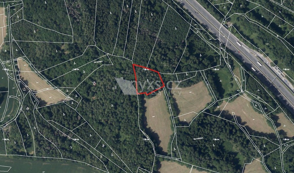 Prodej lesa 4 613 m², Kunice – náhled fotky 2