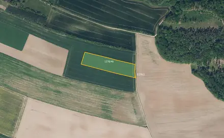 Prodej pole 16 513 m², Bohuslavice, okres Náchod