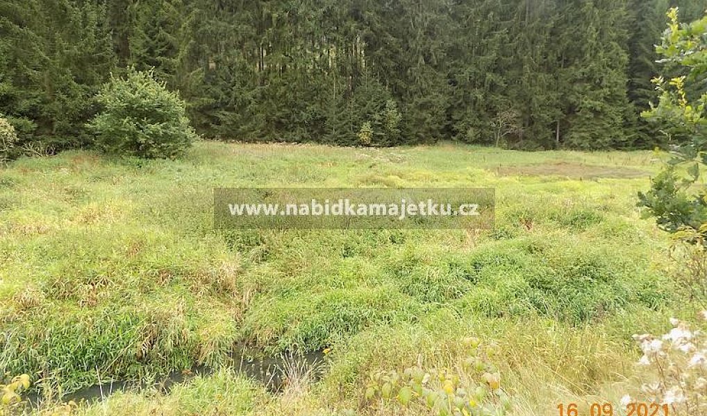 Prodej pozemku, 261 m², Tachov, Bor