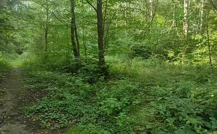 Prodej stavebního pozemku 406 m², Karla Čapka, Jeseník