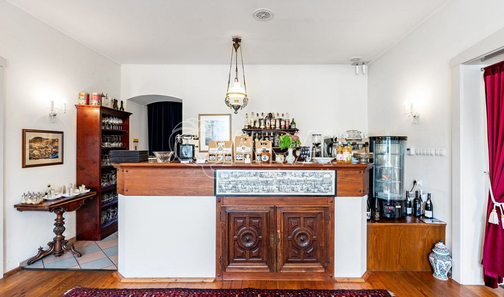 Prodej domu 377 m² s pozemkem 577 m², Radnice – náhled fotky 14