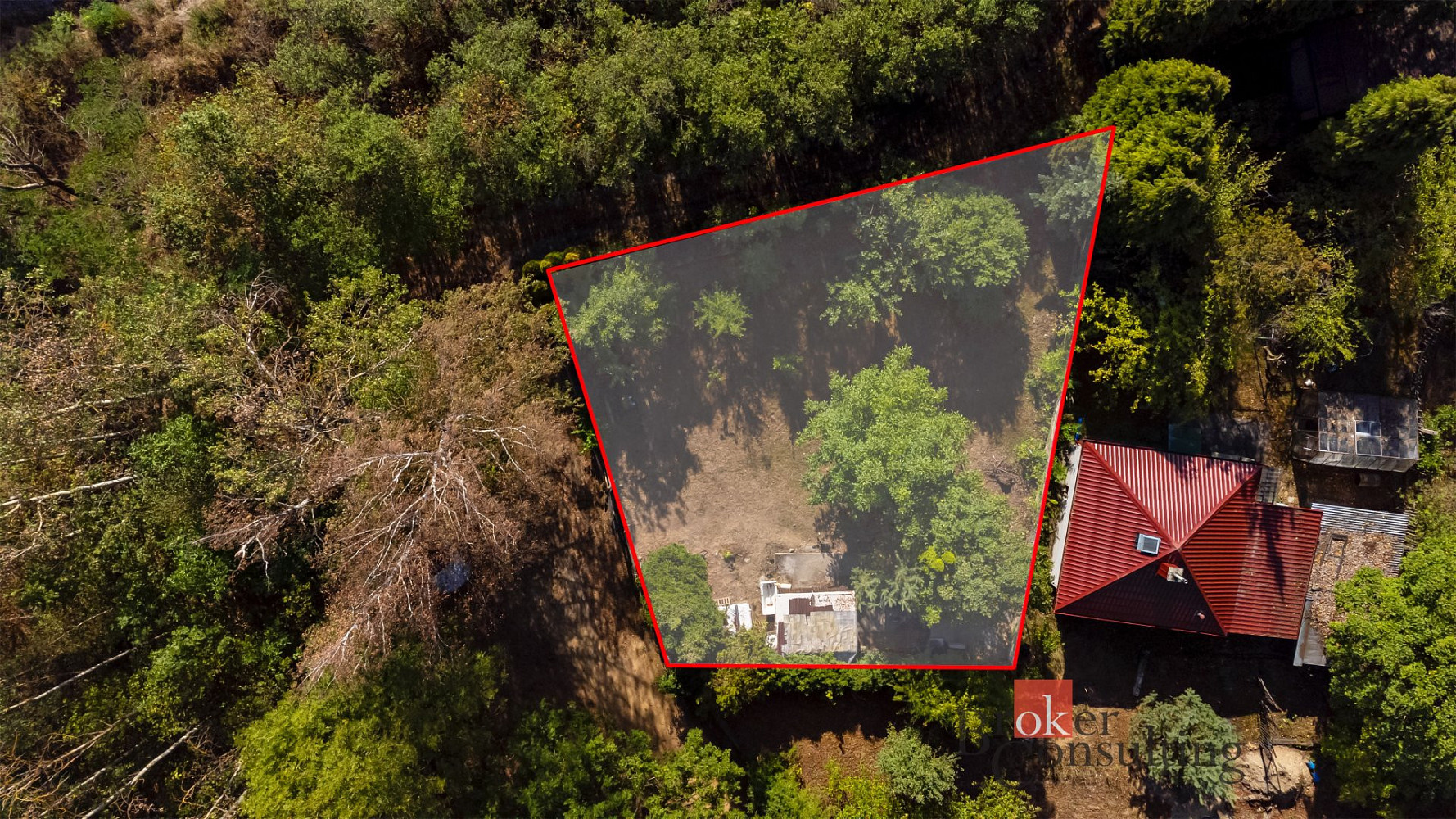Prodej zahrady 393 m²