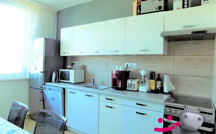 Pronájem bytu 3+1 68 m²