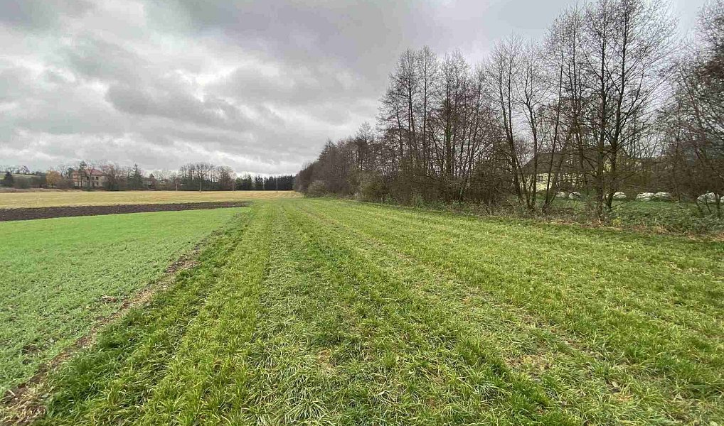 Prodej pole 19 275 m², Oráčov – náhled fotky 8